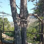 Kastro's View 아파트 *