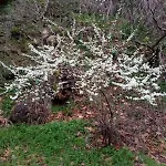 Kastro's View Kalivia (Thasos)