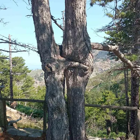 Kastro's View Lägenhet *