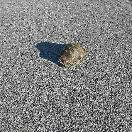 Lägenhet Kastro's View *