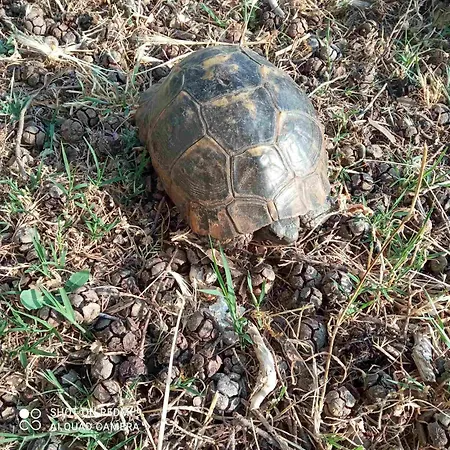 Kastro's View Lägenhet