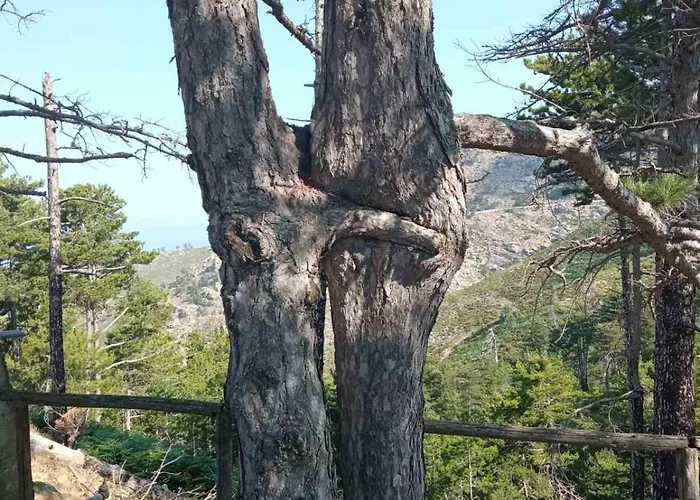 Kastro's View Daire *